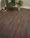 Gallery Item 13